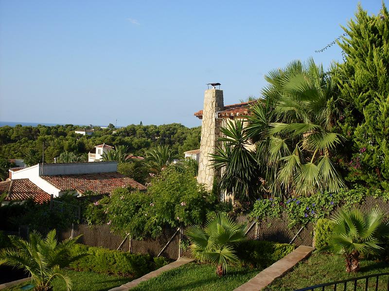 Spanien2010_1 022.jpg - our garden